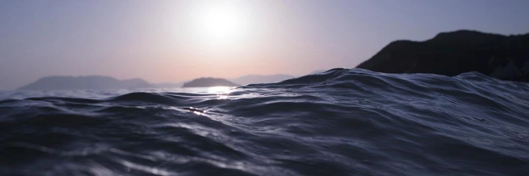 Manasvini Krishna cover