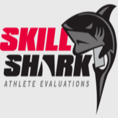 Skillkark