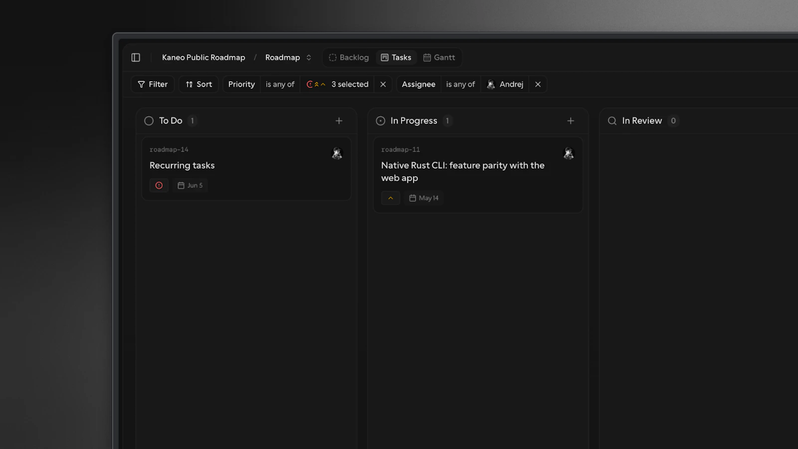 Kaneo screenshot 2