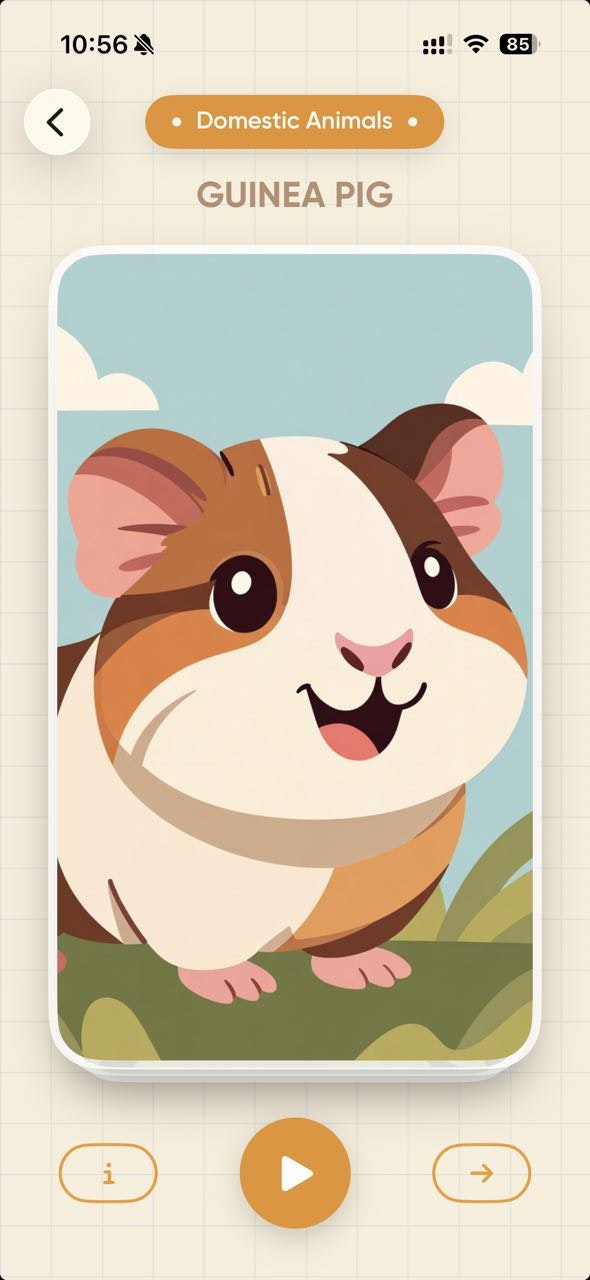 Meok: Animals for Kids gallery image