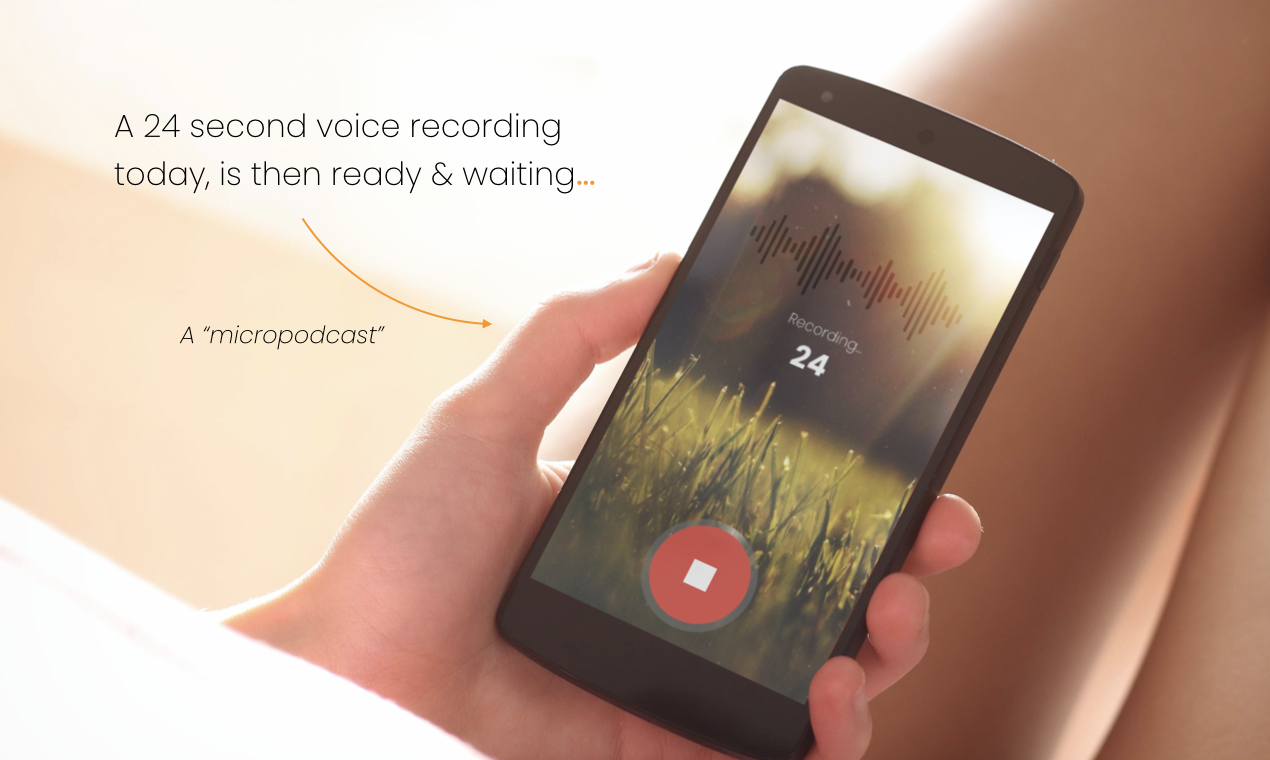 Snoozle gallery image