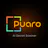 Puaro Security
