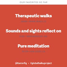 Haiku Project by Baronfig gallery image