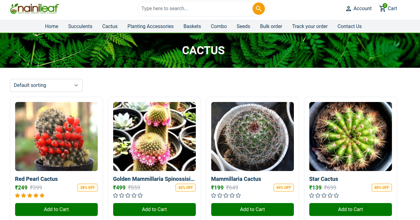 Buy Succulents Online