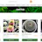 Buy Succulent Plants Online
