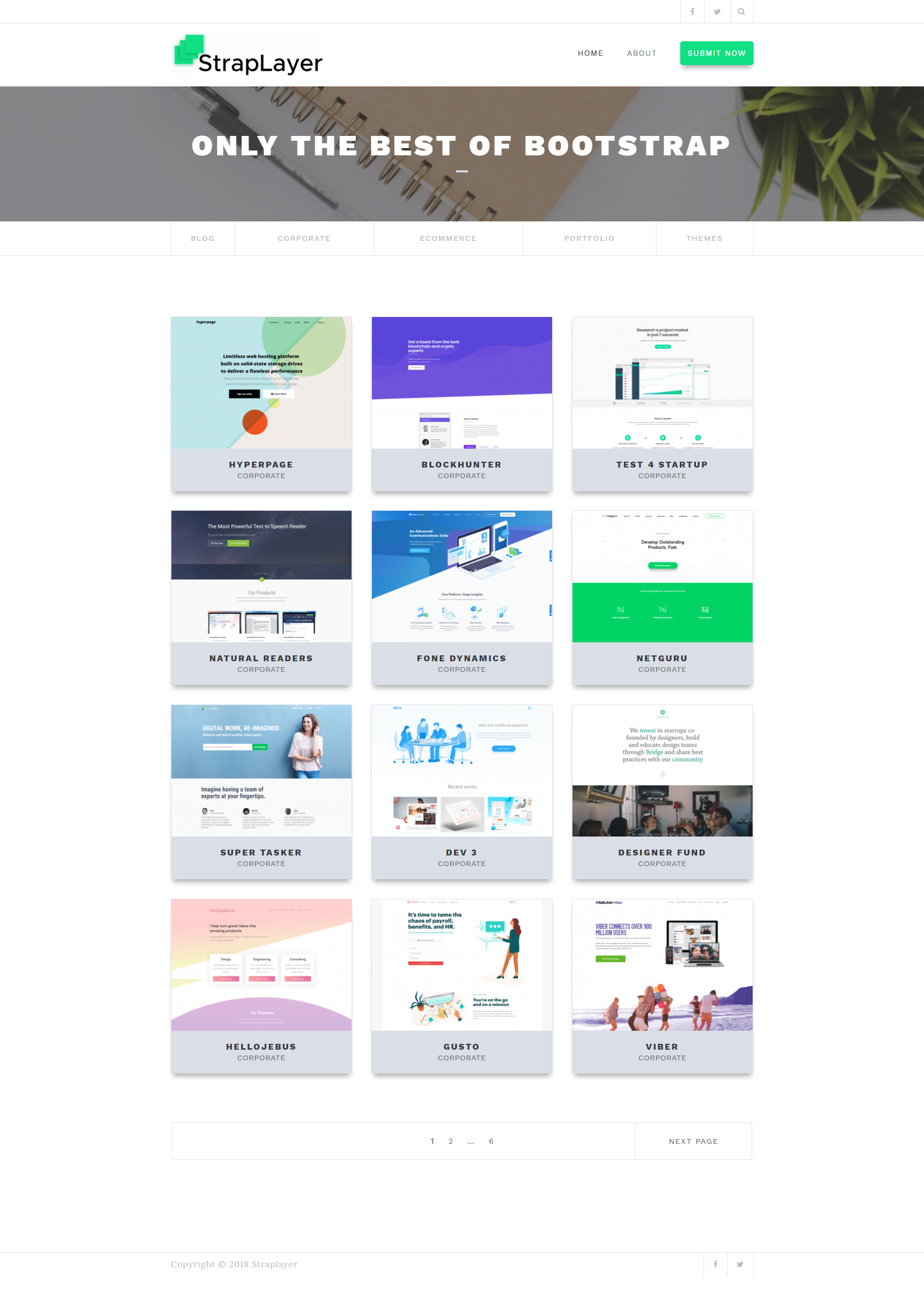 StrapLayer gallery image