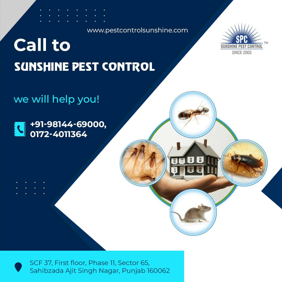 Termietbehandelingsdiensten in Mohali - Sunshine Pest Control ISO 9001: 2015 gecertificeerd bedrijf media 1