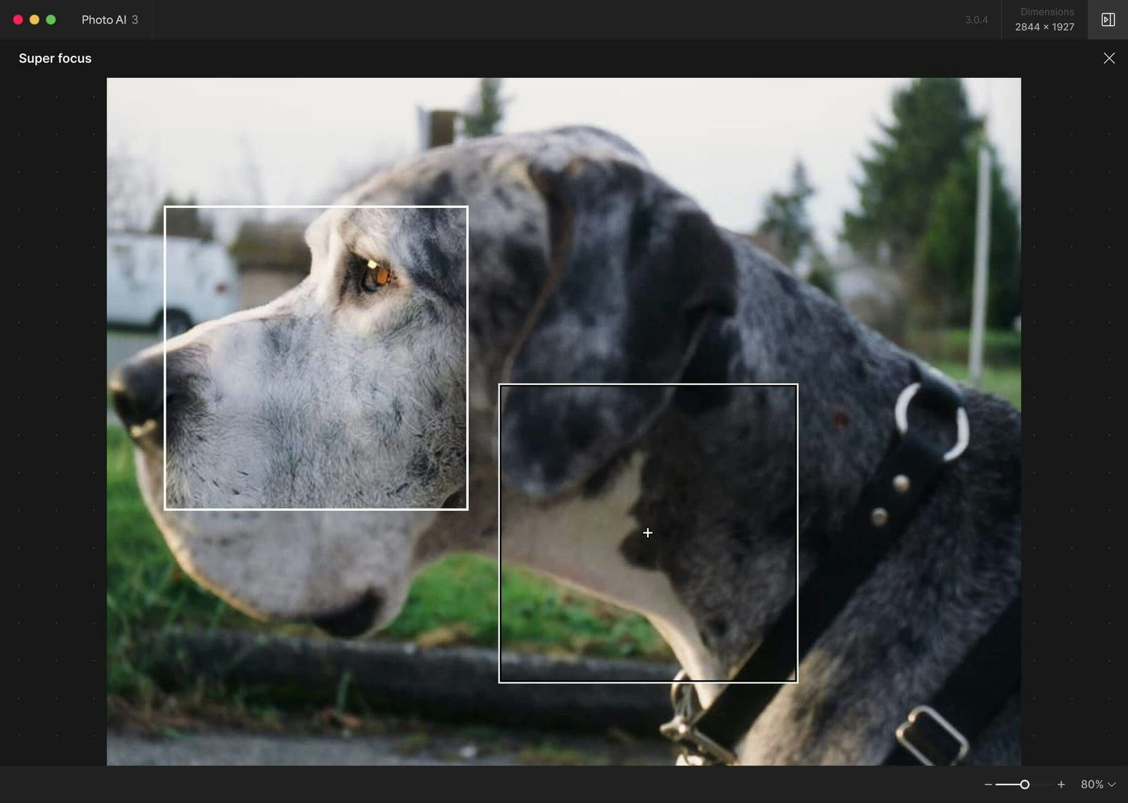 Foto AI 4 - Focus a livello di studio, dettaglio e chiarezza ovunque scatti media 9