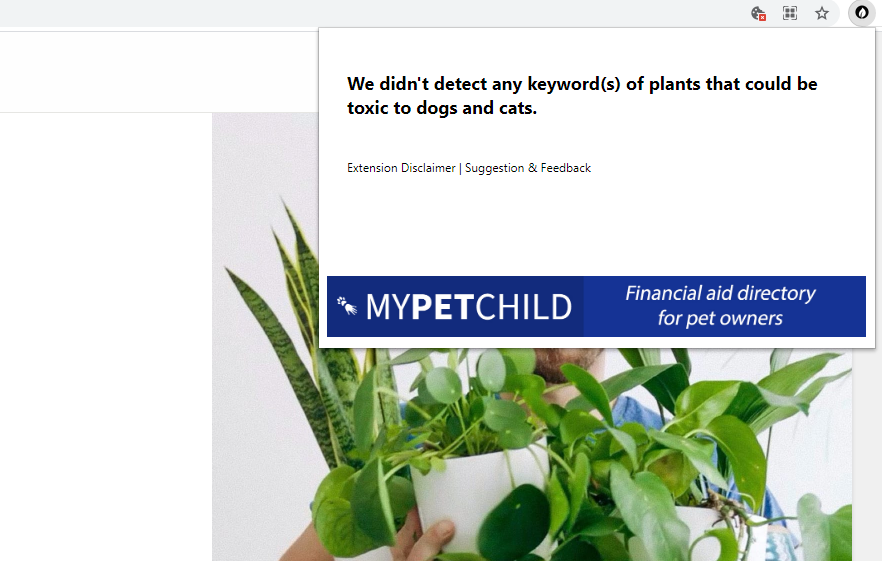 Plant Toxicity for Pets Checker gallery image