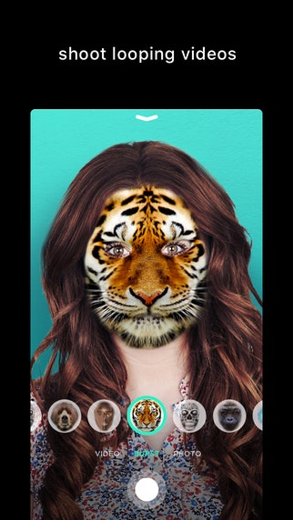 Switch gallery image