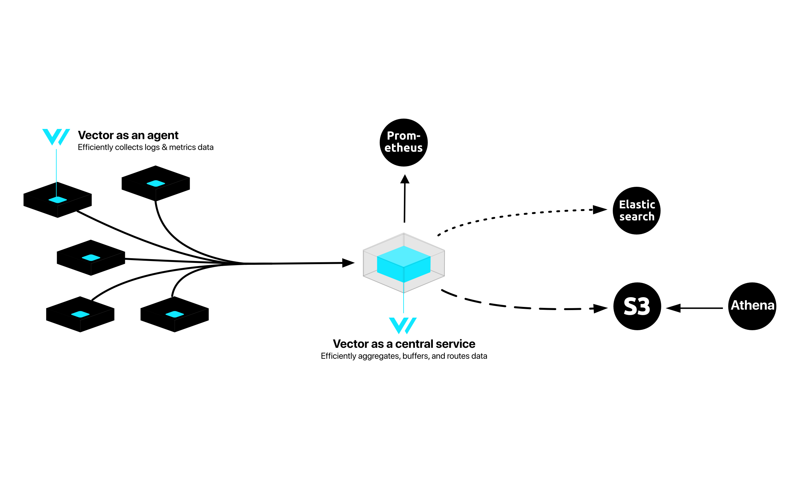 Vector gallery image