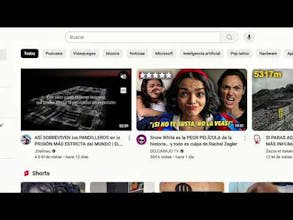 Midori Browser gallery image