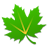 Greenify