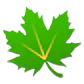 Greenify