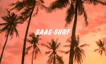 SaaS Surf image