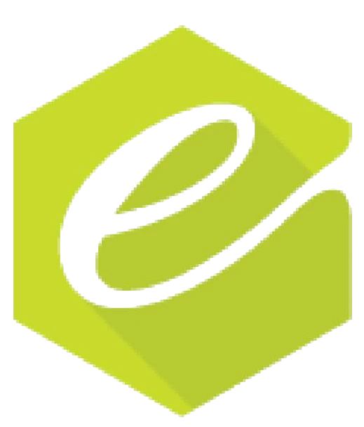Enumsol logo
