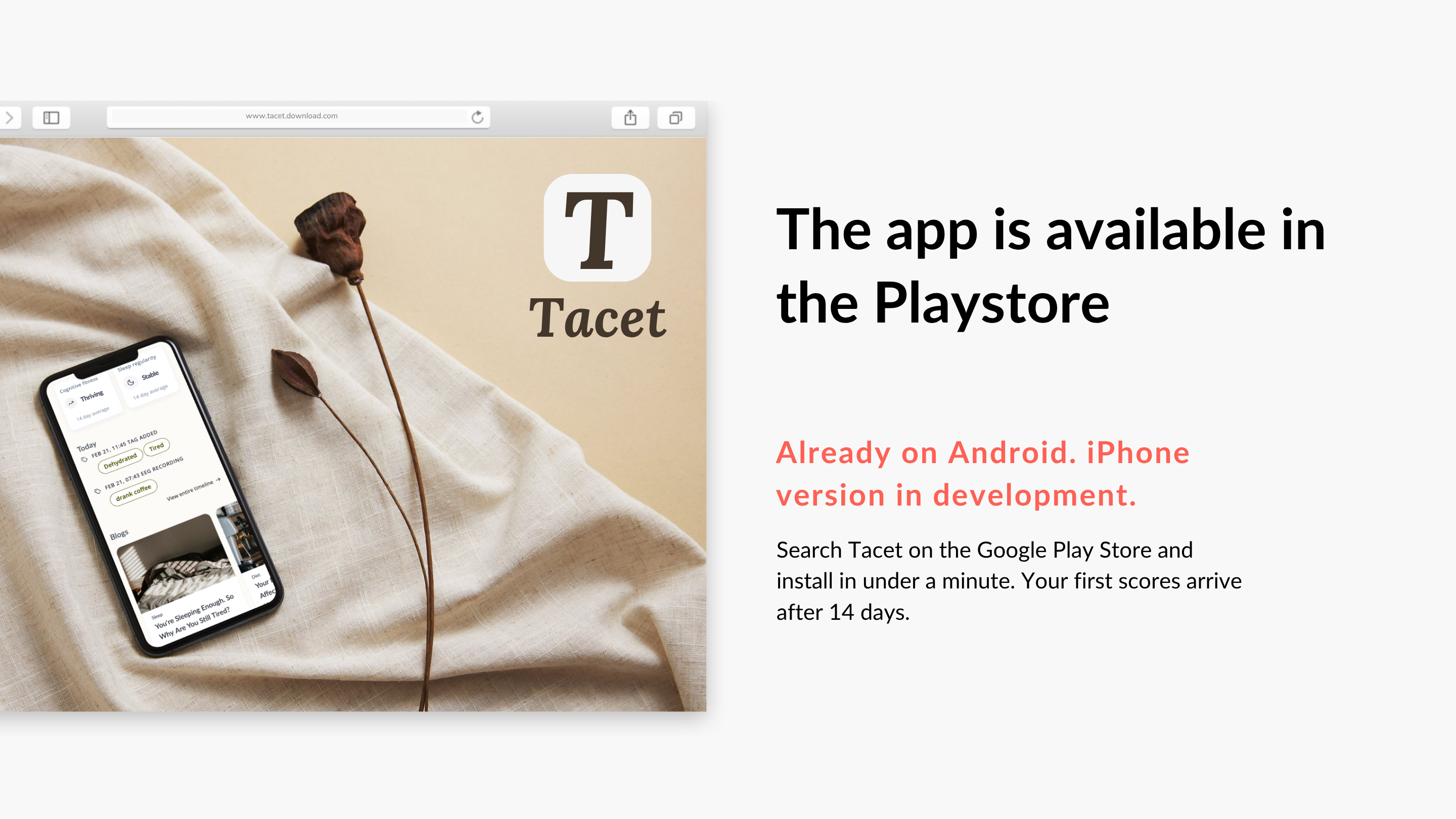 Tacet gallery image