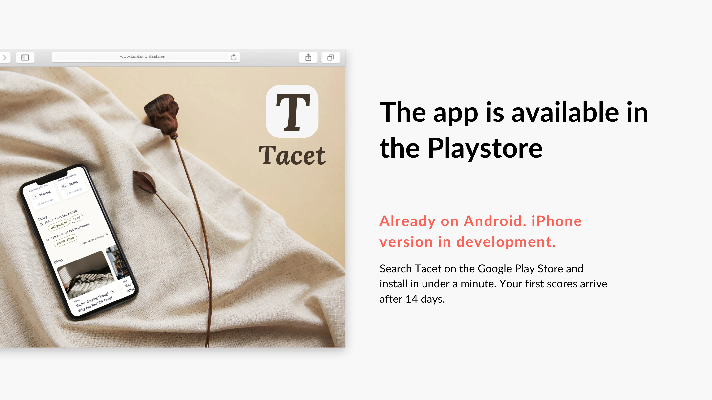 Tacet screenshot 4