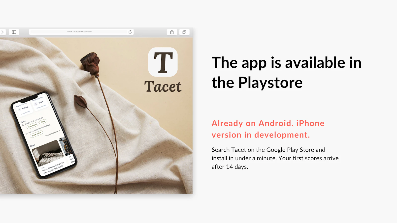 Tacet screenshot 4