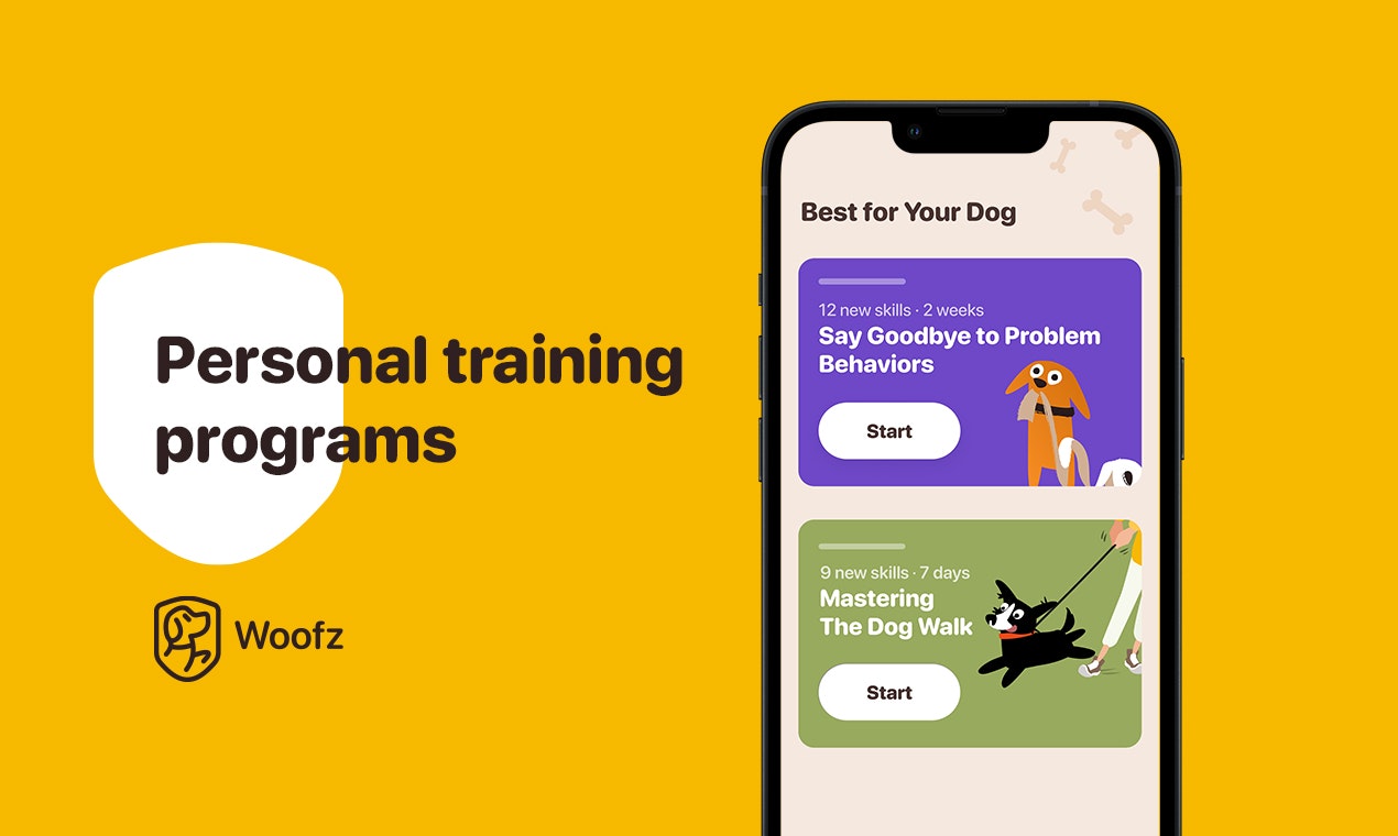 WOOFZ media 4