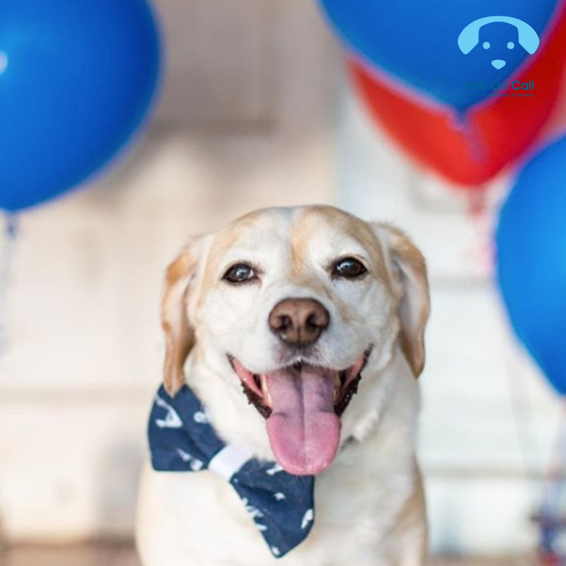 Vets on Call gallery image