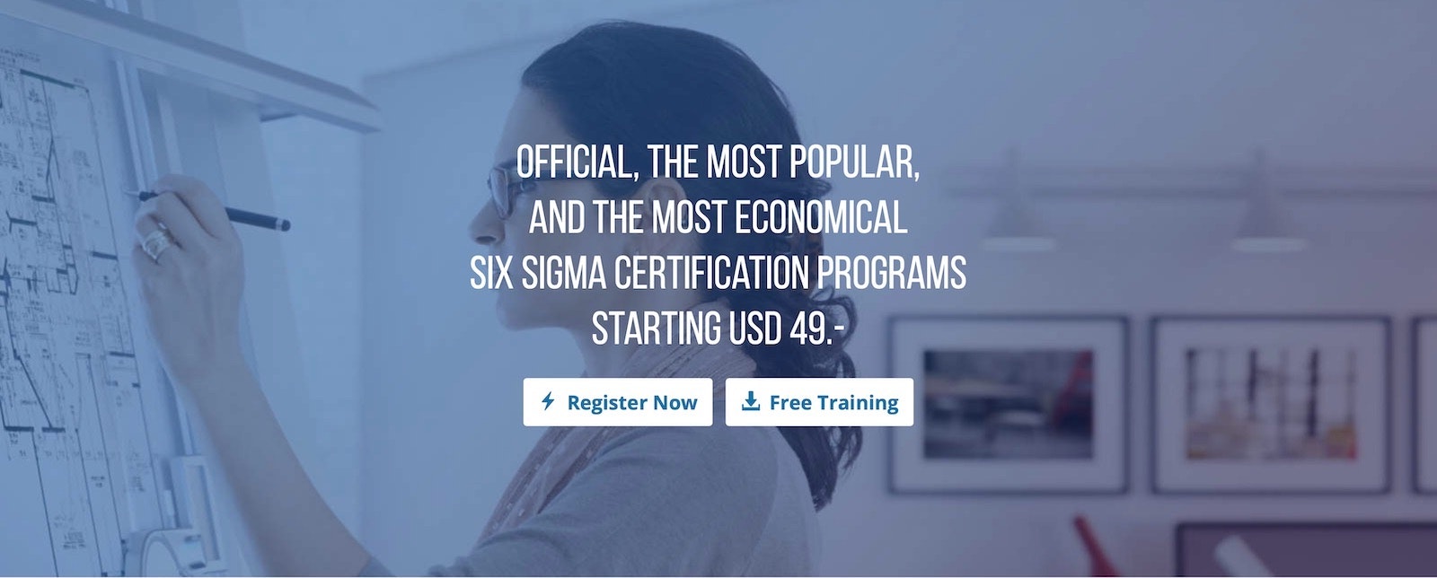 Six Sigma Institute gallery image
