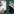 WhatsApp for Desktop