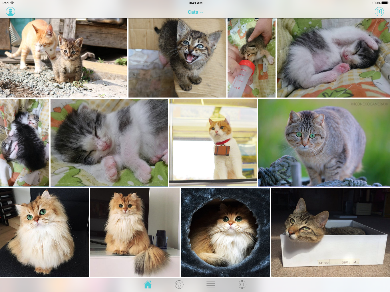 Finch for Twitter gallery image