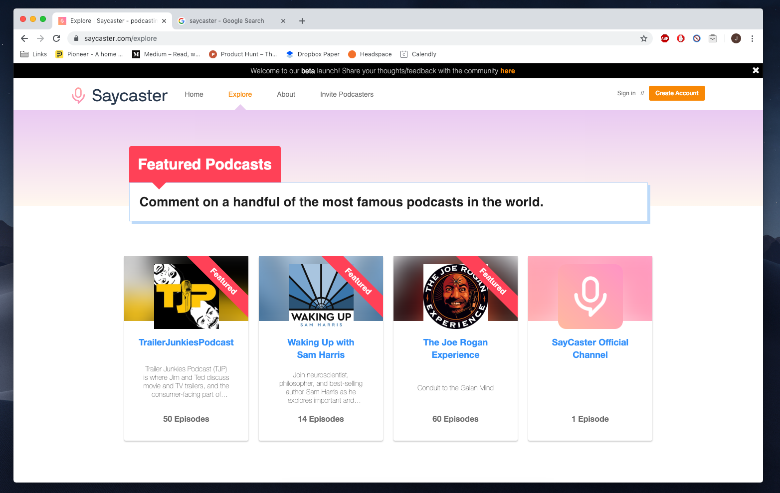 Saycaster gallery image