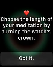 Timeless Meditation gallery image