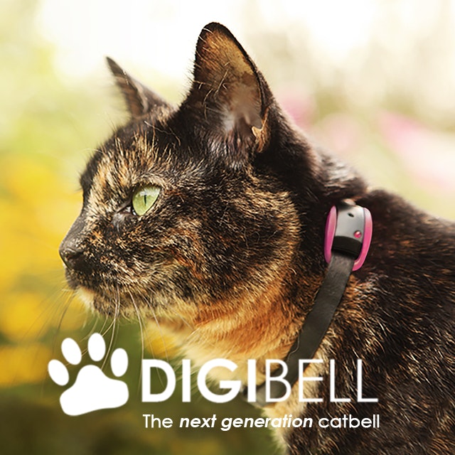 Digibell