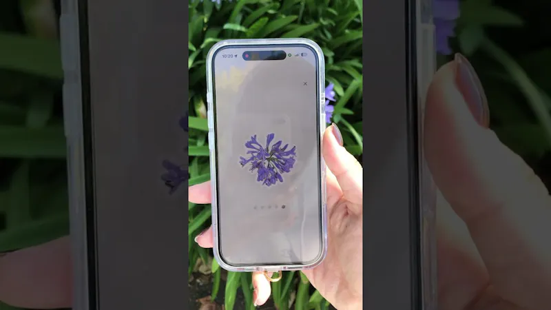 flormie screenshot 1 (video preview)