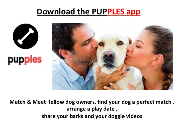 Pupples gallery image