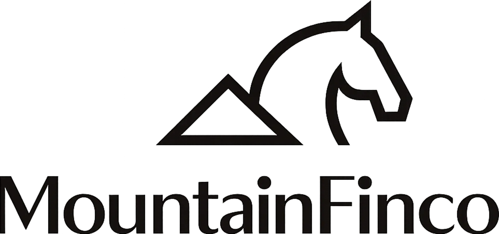 Mountainfinco screenshot 2