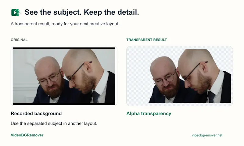 VideoBGRemover screenshot 1
