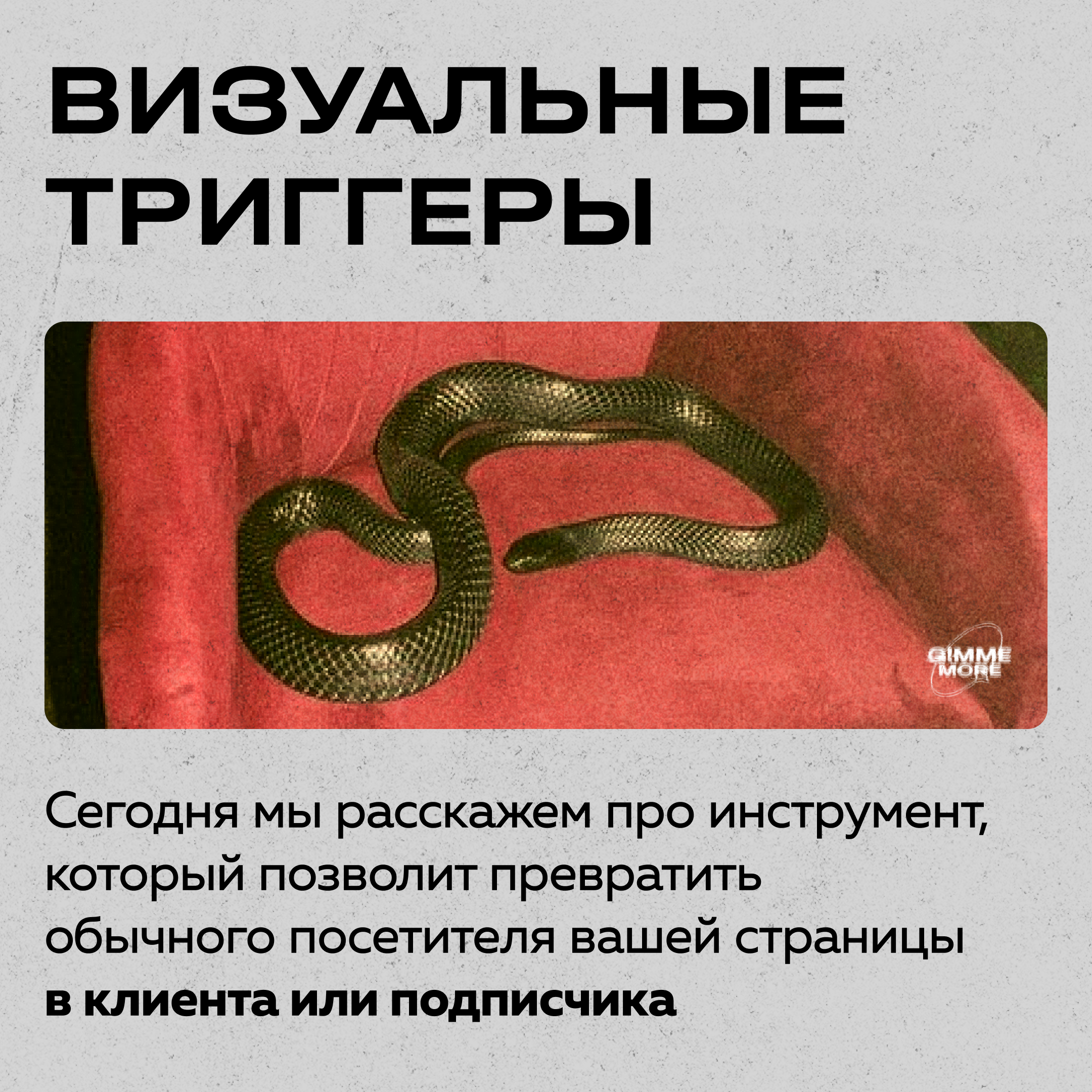 Trgerra media 1