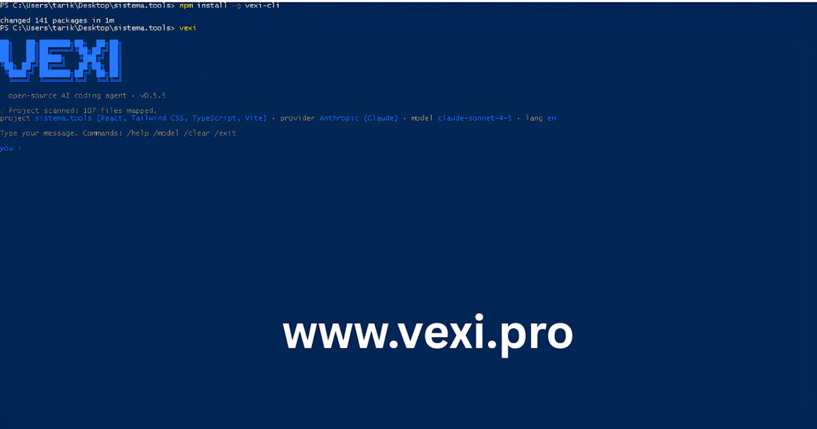 VEXI screenshot 1