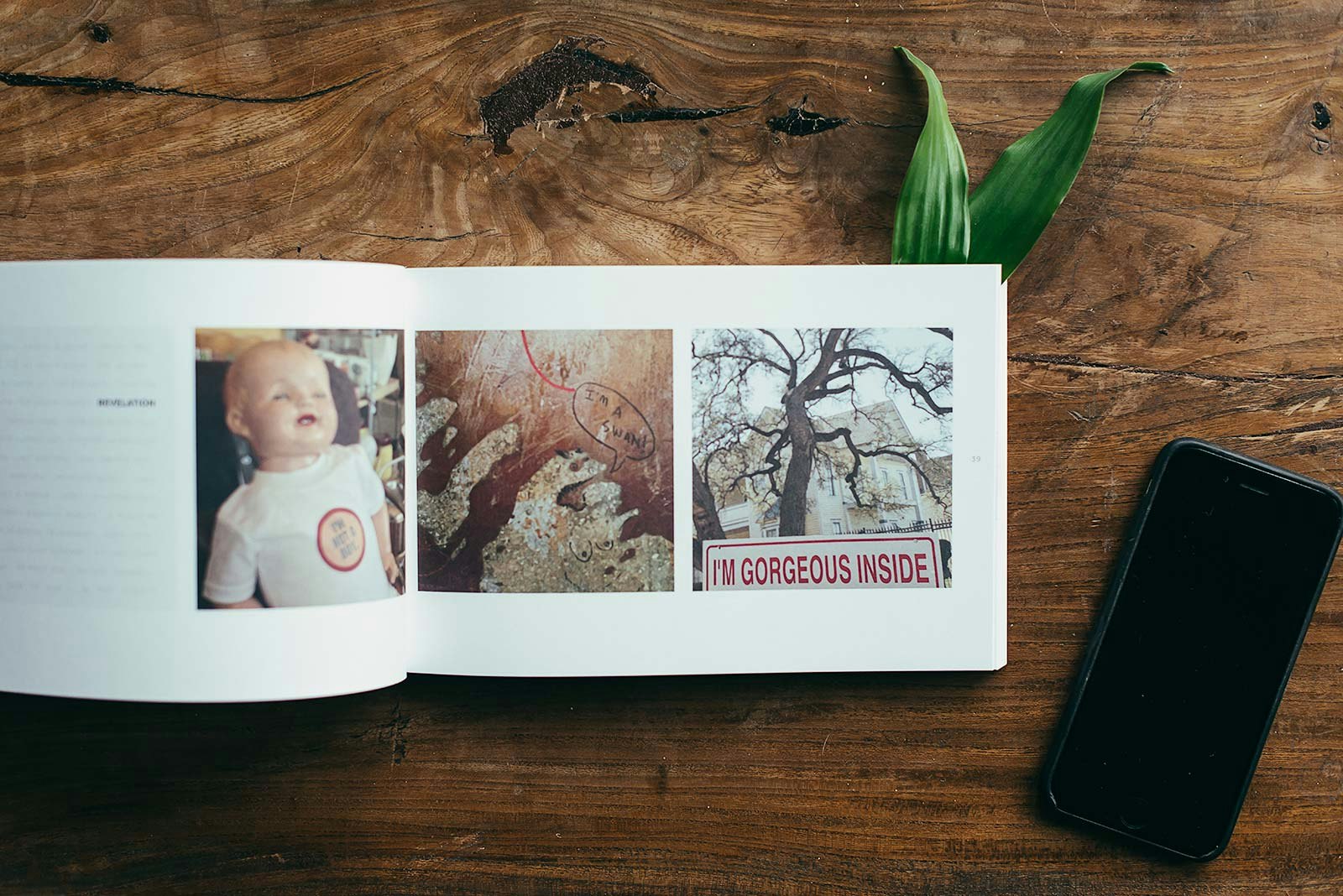 Collecting Words gallery image