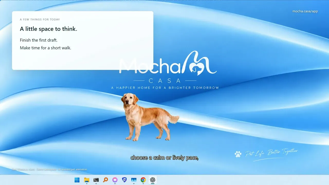 Mocha Casa Desktop Pets gallery image