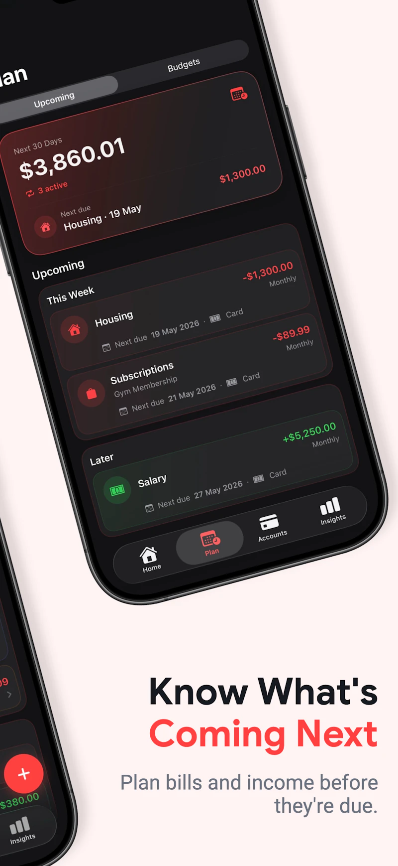 Budgie screenshot 2