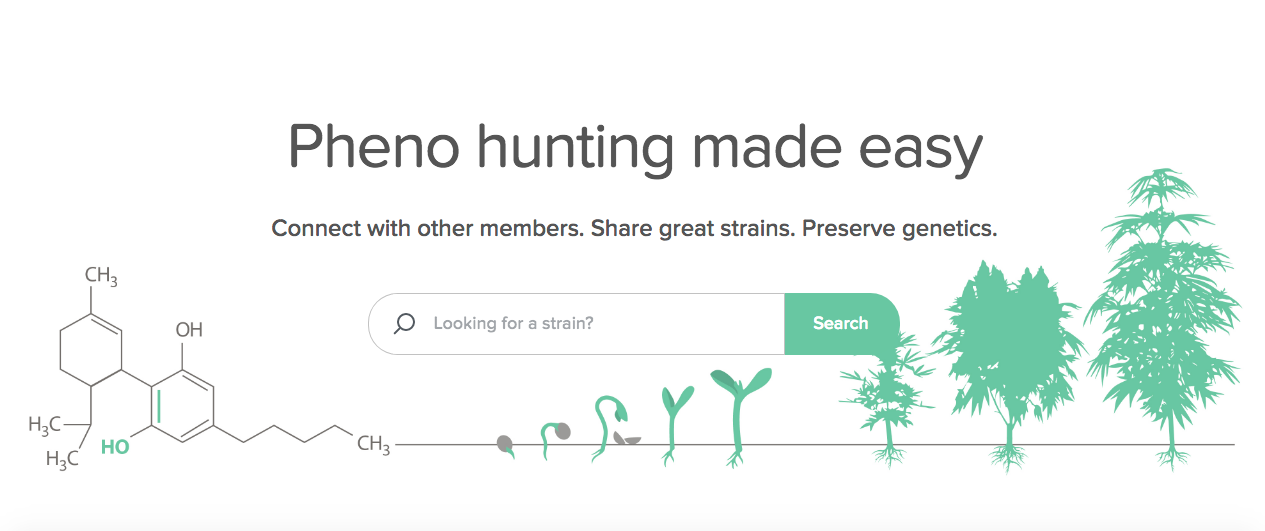 Strainly gallery image