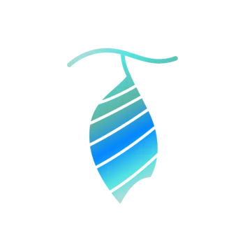 Transfigure