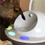 Color Match by CleverPet