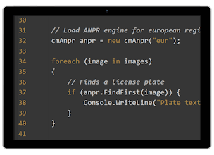 Carmen® FreeFlow: ANPR/ALPR Engine & SDK gallery image