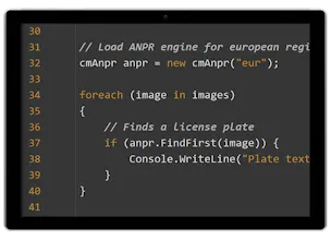 Carmen® FreeFlow: ANPR/ALPR Engine & SDK gallery image