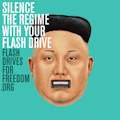Flash Drives for Freedom