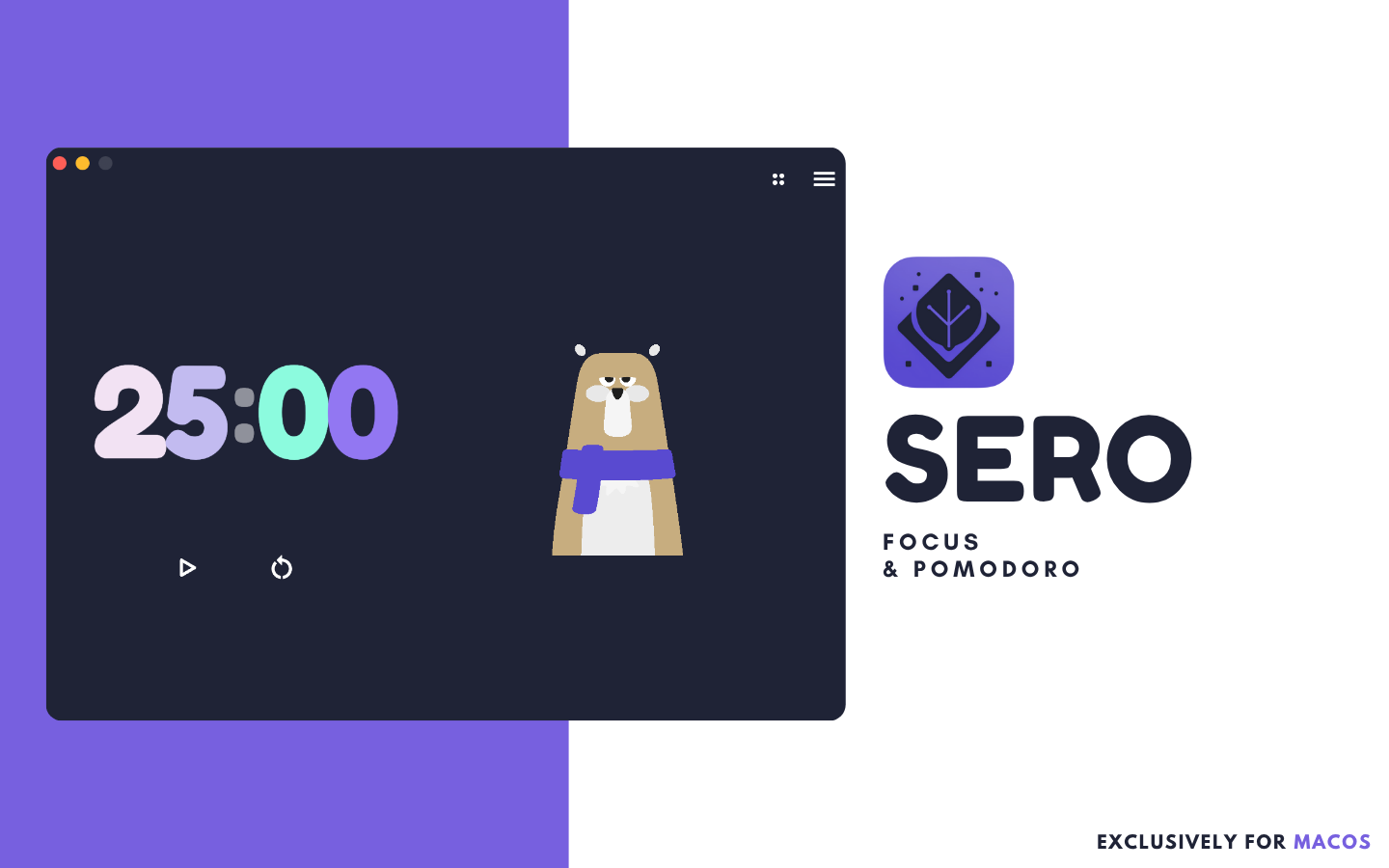 Sero gallery image