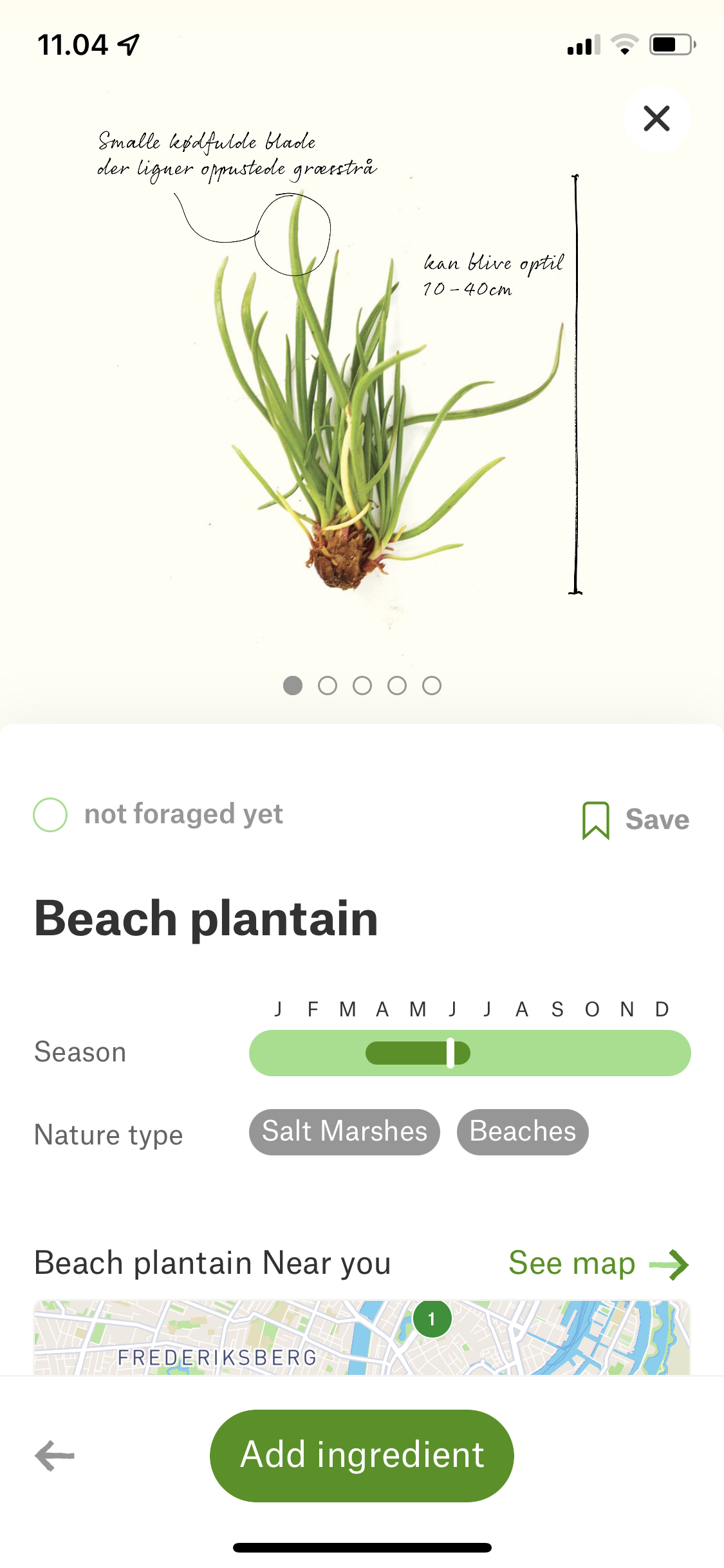 VILD MAD gallery image