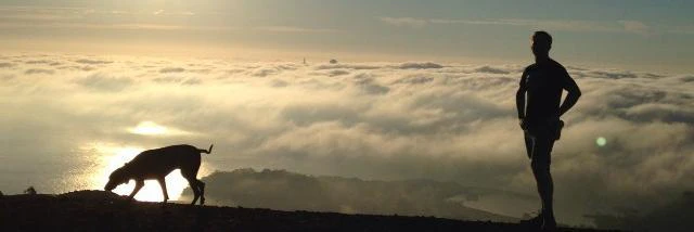 Colin Gardiner cover