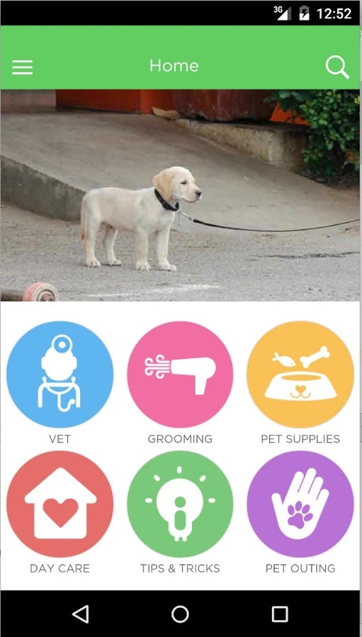 TailsLife gallery image